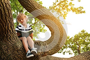 Cute little boy reading book on tree in park