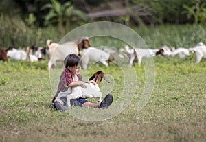 Cute boy with a rural goat farm.