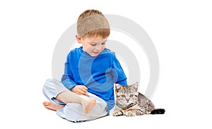 Cute boy sitting with a kitten Scottish Straight