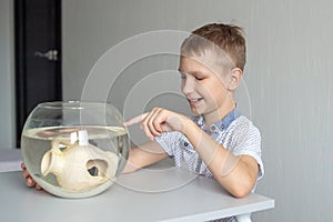 A cute boy is sitting near a transparent aquarium in the room and tapping on the aquarium with his finger