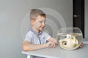 A cute boy is sitting near a transparent aquarium in the room and tapping on the aquarium with his finger