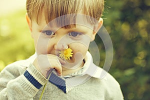 Cute boy sniffs at flower