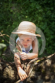 Cute boy with straw hat trying climb on a tree