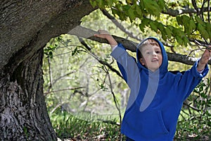 Cute Boy and Tree