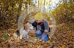 Cute boy walking with beagle dog