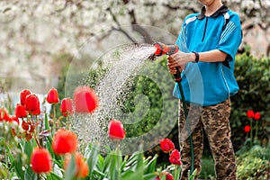 Cute boy watering plants from the hose, makes a rain in the garden. Child helping parents to grow flowers