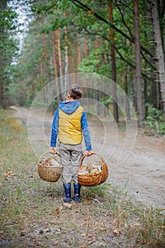 Cute boy with wild mushroom found in the forest