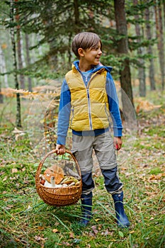 Cute boy with wild mushroom found in the forest