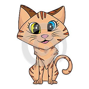 Cute and bright cheerful orange cat isolated on white.