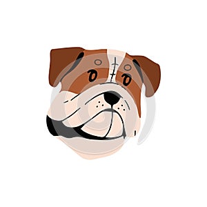 Cute British or English Bulldog muzzle. Happy Mastiff avatar. Boxer puppy snout. Guard dog face. Amusing doggy of large