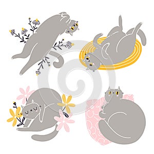 Cute british shorthair cat vector collection 2