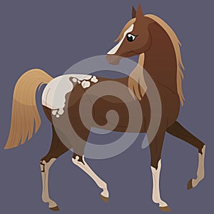 Cute broune horse with white spots. Horse breed Apaloosa. Horse character for children's books.