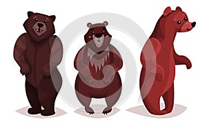 Cute Brown Bear as Carnivore Forest Animal Vector Illustration