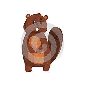 Cute brown beaver standing on white. Cartoon forest rodent with big teeth, shaped tail, little ears and shiny