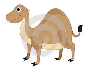 Cute brown camel, illustration