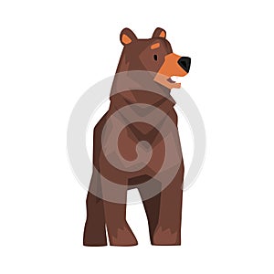 Cute Brown Grizzly Bear, Wild Animal Character, Front View Cartoon Vector illustration