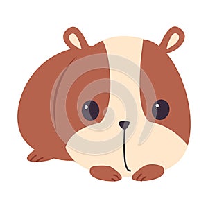 Cute Brown Hamster, Adorable Pet Animal Character Cartoon Vector Illustration