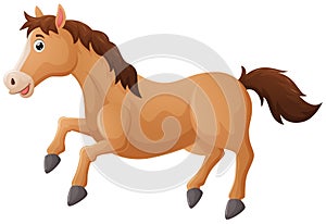 Cute brown horse on a white background