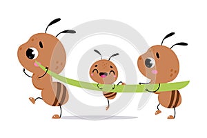 Cute Brown Little Ant Carry Green Grass Blade Together Vector Illustration