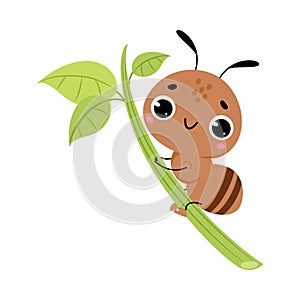 Cute Brown Little Ant Climb Grass Blade Vector Illustration