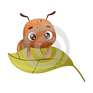 Cute brown little ant sitting on leaf. Funny insect cartoon character vector illustration