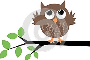 A cute brown owl