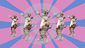 Cute brown pussycats dancing together in a modern style in tunnel colour space