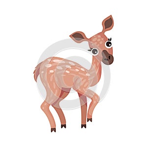 Cute Brown Spotted Deer as Herbivore Forest Animal Vector Illustration