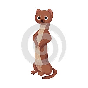 Cute Brown Stoat or Weasel as Carnivore Forest Animal Vector Illustration