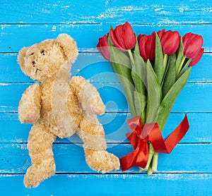 Cute brown teddy bear and bouquet of red blooming tulips with green stems and leaves tied with a red silk ribbon