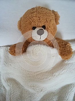 Teddy bear on bed.