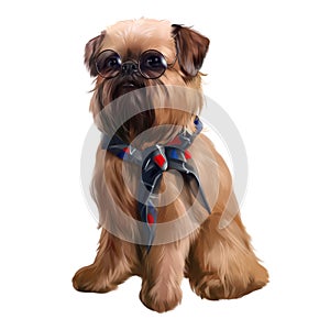 Cute Brussels Griffon with glasses and a neckerchief