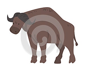 Cute Buffalo African Animal, Wild Herbivore Jungle Animal Cartoon Vector Illustration