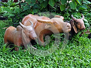 cute buffalo and cow baked clay doll on backyard, sculpture for landscaping