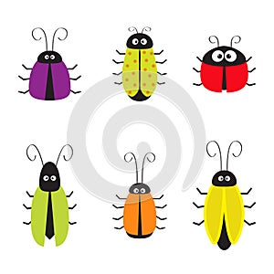 Cute bug cockroach set. Funny cartton character. Baby design. White background. Isolated. Flat design. photo