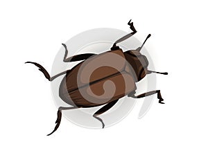 Cute bug vector concept