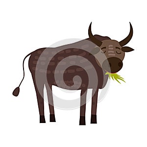 Cute bull, buffolo, animal, trend, cartoon style, vector, illustration, isolated on white background