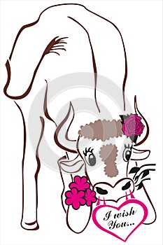 Cute bull kneeling on front legs gives flowers holding in its mouth, exhaling heart with wishes through its nostrils.