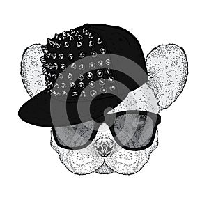 Cute bulldog in a cap with thorns and glasses. Vector illustration for a postcard or a poster. Funny dog.