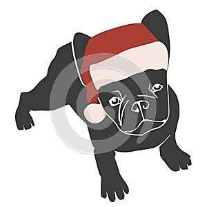 Cute bulldog in the Santa hat