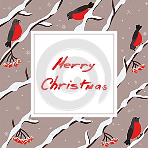 Cute bullfinches are sitting on the branches. Snowing. Christmas card. Merry christmas and happy new year greetings