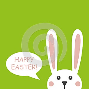 Cute bunnie happy easter vector illustration.Congratulates with