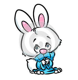 Cute bunny