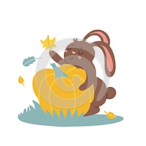 Cute bunny with an autumn harvest. Little brown rabbit holding a big pumpkin in its paws isolated on a white background