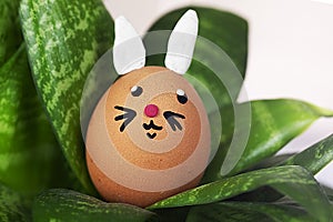 cute bunny egg among green leaves. Easter