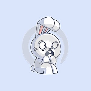 The cute bunny is feeling scared