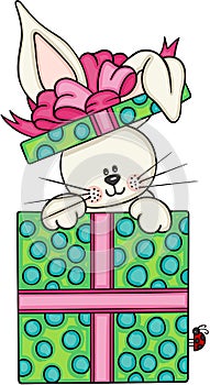 Cute bunny in gift box