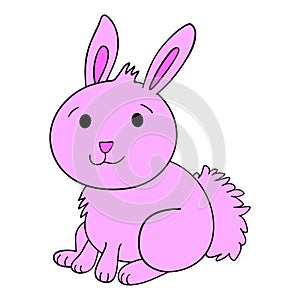 Cute Bunny Rabbit