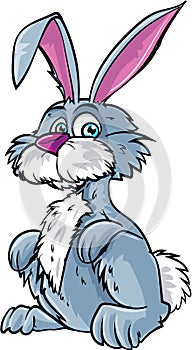 Cute bunny rabbit cartoon image