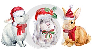 Cute bunny in red Santa hat, isolated white background, holiday watercolor illustration. Funny baby pet animal.